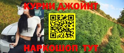 сатива Краснодар