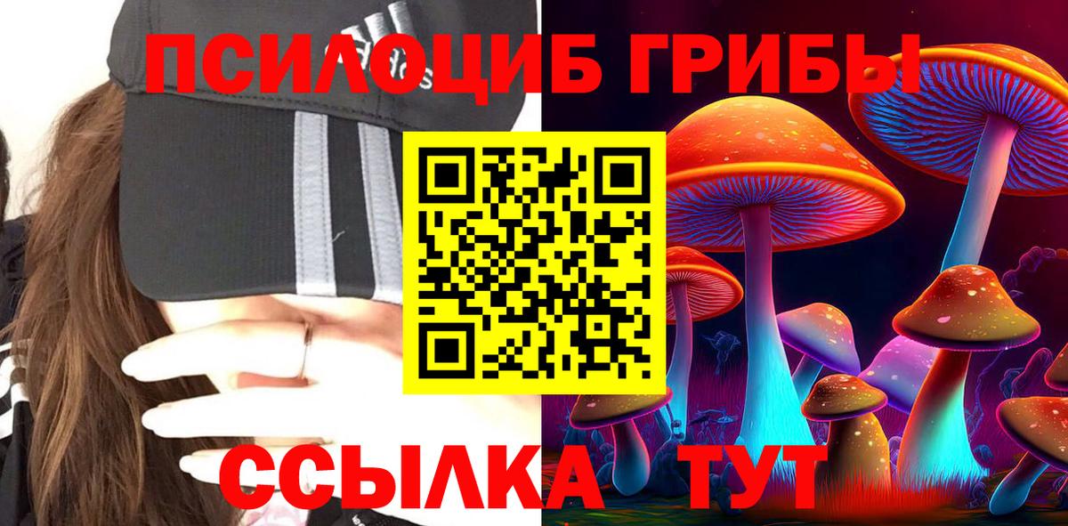 Галлюциногенные грибы GOLDEN TEACHER  Псилоцибиновые грибы Cubensis  хочу наркоту  Вход с VPN  Вичуга 